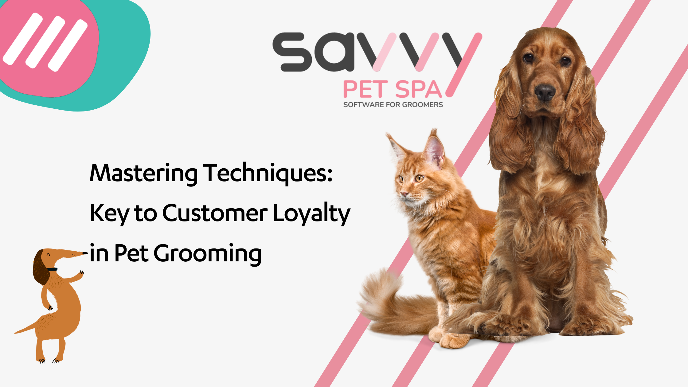 Mastering Techniques: Key to Customer Loyalty in Pet Grooming